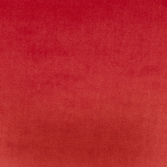 Prestigious Textiles Velour Cardinal