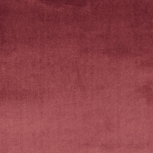 Prestigious Textiles Velour Damson