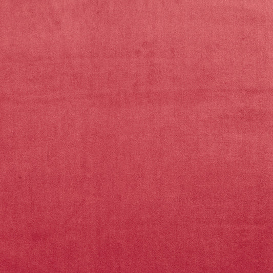 Prestigious Textiles Velour Fuchsia