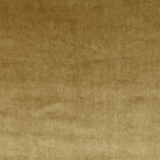 Prestigious Textiles Velour Gold