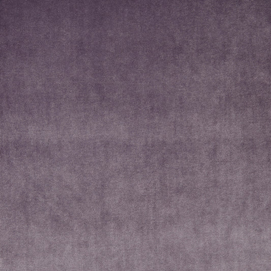 Prestigious Textiles Velour Mulberry