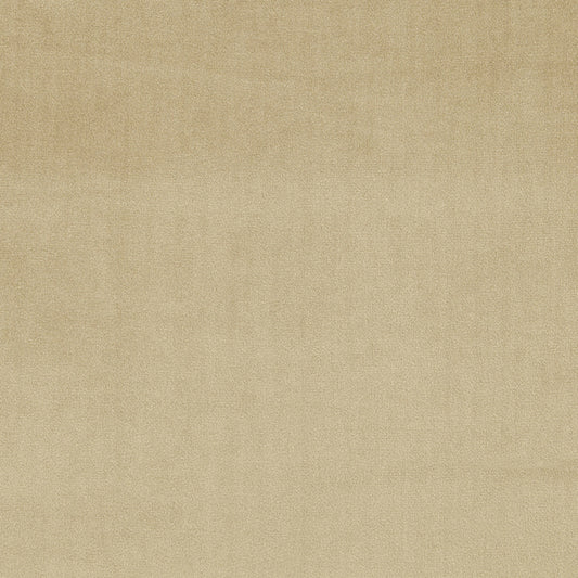 Prestigious Textiles Velour Sandstone