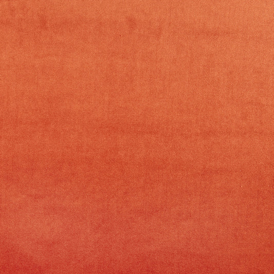 Prestigious Textiles Velour Tango